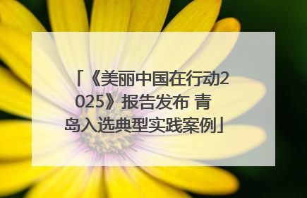 《美丽中国在行动2025》报告发布 青岛入选典型实践案例