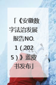 《安徽数字法治发展报告NO.1（2025）》蓝皮书发布