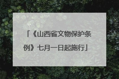 《山西省文物保护条例》七月一日起施行