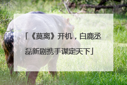 《莫离》开机，白鹿丞磊新剧携手谋定天下