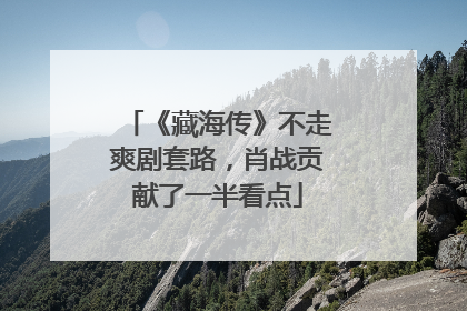 《藏海传》不走爽剧套路，肖战贡献了一半看点