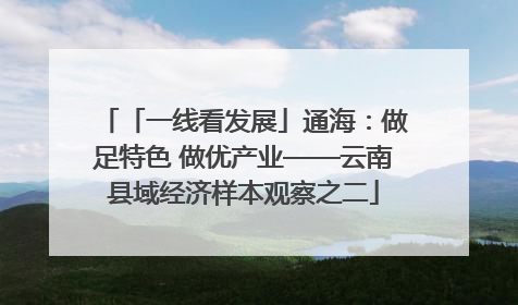 「一线看发展」通海：做足特色 做优产业——云南县域经济样本观察之二