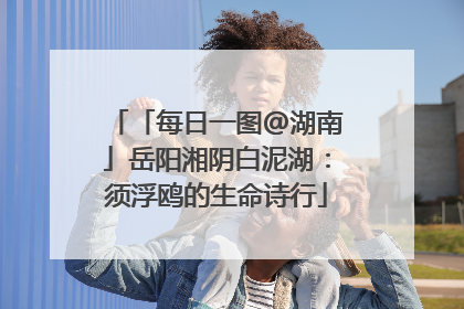 「每日一图@湖南」岳阳湘阴白泥湖：须浮鸥的生命诗行