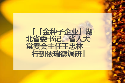 「金种子企业」湖北省委书记、省人大常委会主任王忠林一行到依瑞德调研