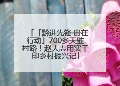 「黔进先锋·贵在行动」700多天驻村路！赵大志用实干印乡村振兴记