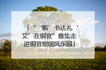 “‘栀’书达礼‘艾’在铜官”雅集走进铜官窑国风乐园