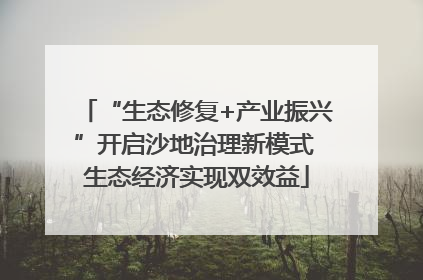 “生态修复+产业振兴”开启沙地治理新模式 生态经济实现双效益