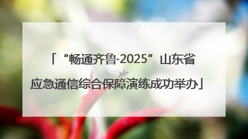 “畅通齐鲁·2025”山东省应急通信综合保障演练成功举办