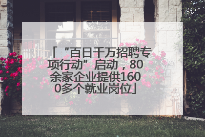 “百日千万招聘专项行动”启动，80余家企业提供1600多个就业岗位