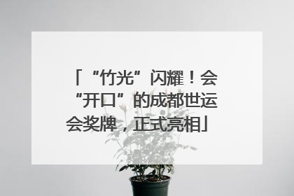 “竹光”闪耀！会“开口”的成都世运会奖牌，正式亮相