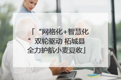 “网格化+智慧化”双轮驱动 柘城县全力护航小麦夏收