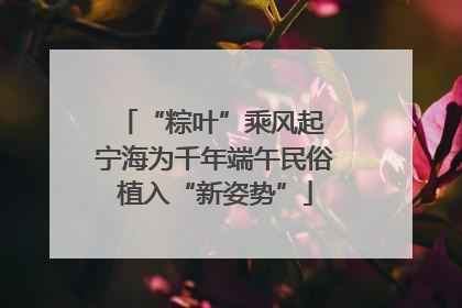 “粽叶”乘风起 宁海为千年端午民俗植入“新姿势”