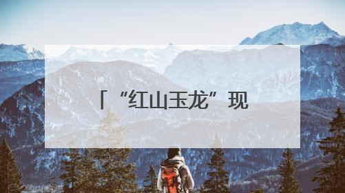 “红山玉龙”现身上海！来看五千多年前的这条龙