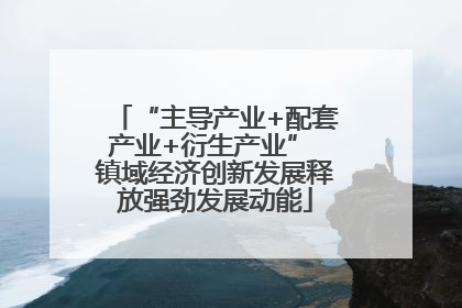 “主导产业+配套产业+衍生产业” 镇域经济创新发展释放强劲发展动能