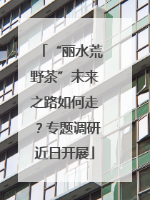 “丽水荒野茶”未来之路如何走？专题调研近日开展