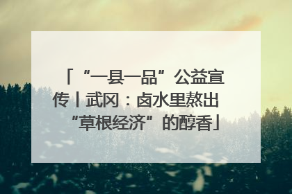 “一县一品”公益宣传丨武冈：卤水里熬出“草根经济”的醇香
