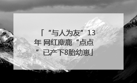 “与人为友”13年 网红麋鹿“点点”已产下8胎幼崽