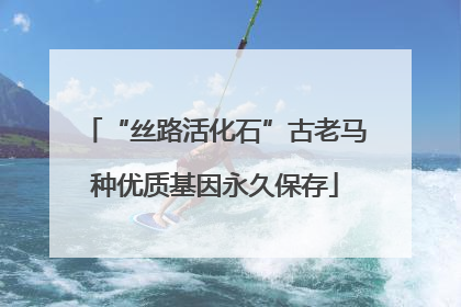 “丝路活化石”古老马种优质基因永久保存