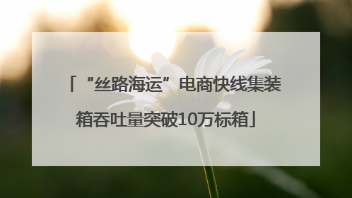 “丝路海运”电商快线集装箱吞吐量突破10万标箱