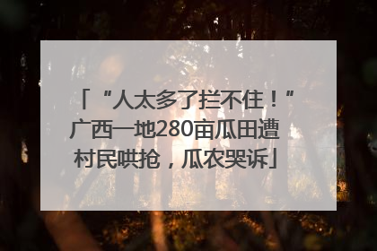“人太多了拦不住！”广西一地280亩瓜田遭村民哄抢，瓜农哭诉
