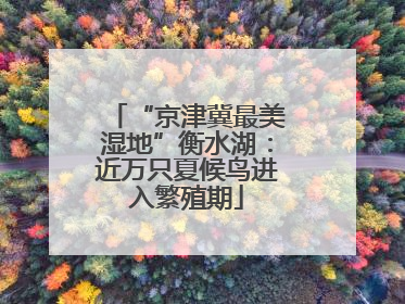“京津冀最美湿地”衡水湖：近万只夏候鸟进入繁殖期