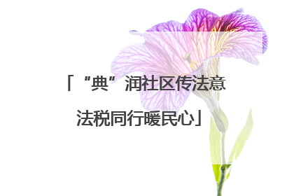 “典”润社区传法意 法税同行暖民心