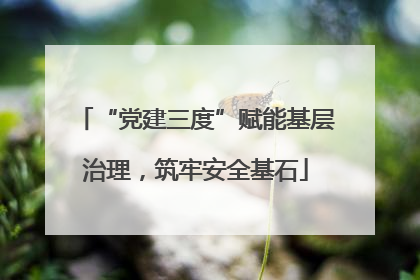 “党建三度”赋能基层治理，筑牢安全基石