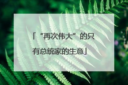 “再次伟大”的只有总统家的生意