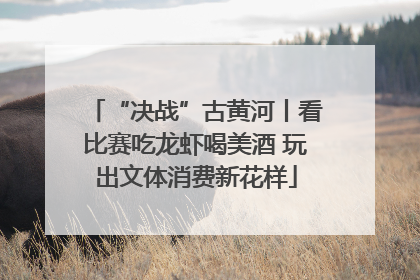 “决战”古黄河丨看比赛吃龙虾喝美酒 玩出文体消费新花样