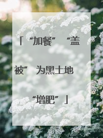 “加餐”“盖被” 为黑土地“增肥”