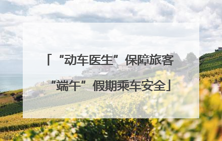 “动车医生”保障旅客“端午”假期乘车安全