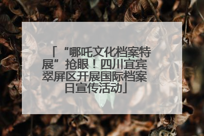 “哪吒文化档案特展”抢眼！四川宜宾翠屏区开展国际档案日宣传活动