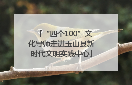 “四个100”文化导师走进玉山县新时代文明实践中心
