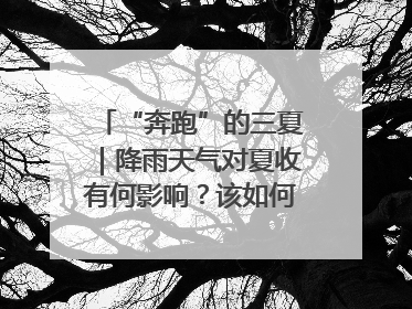 “奔跑”的三夏｜降雨天气对夏收有何影响？该如何防范？一文了解