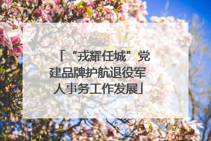 “戎耀任城”党建品牌护航退役军人事务工作发展