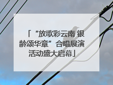 “放歌彩云南 银龄颂华章”合唱展演活动盛大启幕
