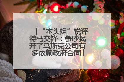 “木头姐”锐评特马交锋：争吵揭开了马斯克公司有多依赖政府合同