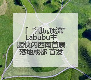 “潮玩顶流”Labubu主题快闪西南首展落地成都 首发经济引擎再添动能