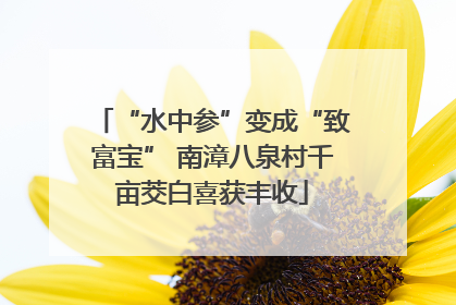 “水中参”变成“致富宝” 南漳八泉村千亩茭白喜获丰收
