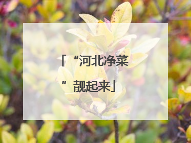 “河北净菜”靓起来