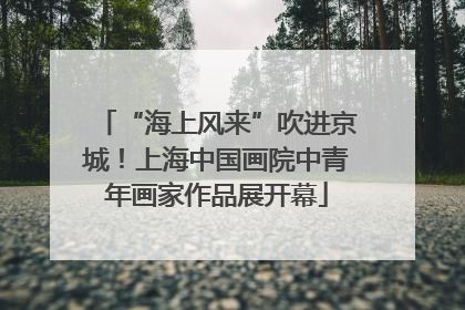 “海上风来”吹进京城！上海中国画院中青年画家作品展开幕