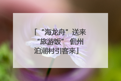 “海龙舟”送来“旅游饭” 儋州泊潮村引客来