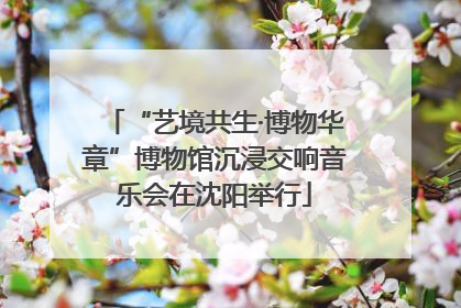 “艺境共生·博物华章”博物馆沉浸交响音乐会在沈阳举行