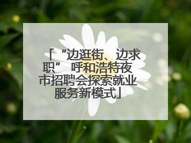 “边逛街、边求职” 呼和浩特夜市招聘会探索就业服务新模式