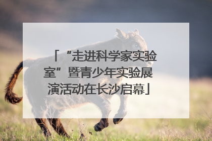 “走进科学家实验室”暨青少年实验展演活动在长沙启幕