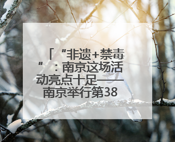 “非遗+禁毒”：南京这场活动亮点十足——南京举行第38个国际禁毒日主题宣传活动