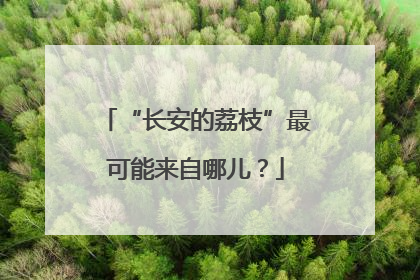 “长安的荔枝”最可能来自哪儿？