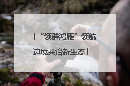 “领群鸿雁”领航边境共治新生态