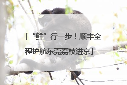 “鲜”行一步！顺丰全程护航东莞荔枝进京