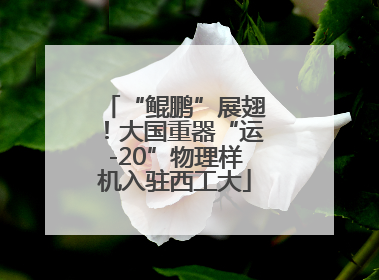 “鲲鹏”展翅！大国重器“运-20”物理样机入驻西工大
